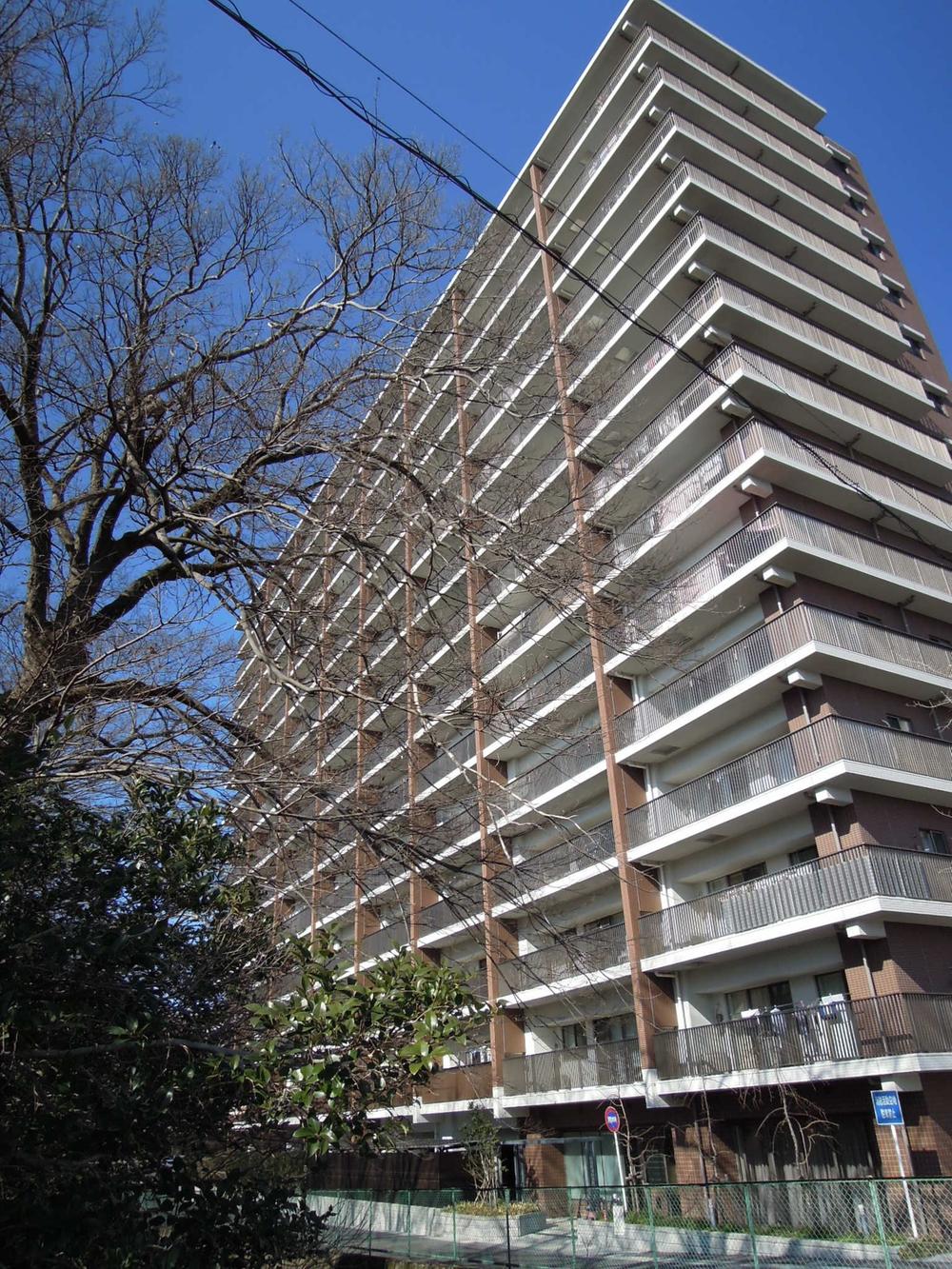 Local appearance photo