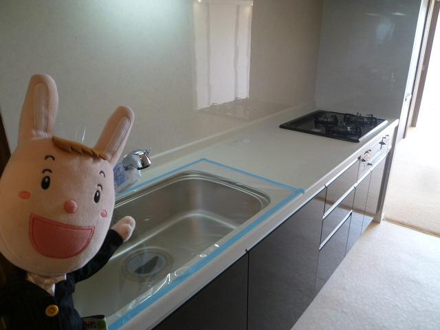 Kitchen. Indoor (November 1, 2013) Shooting