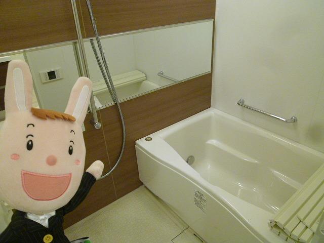 Bathroom. Indoor (November 1, 2013) Shooting