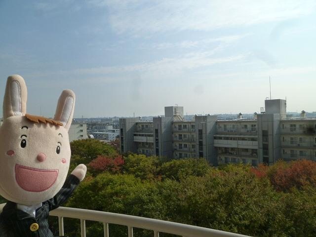 View photos from the dwelling unit. View from local (November 1, 2013) Shooting