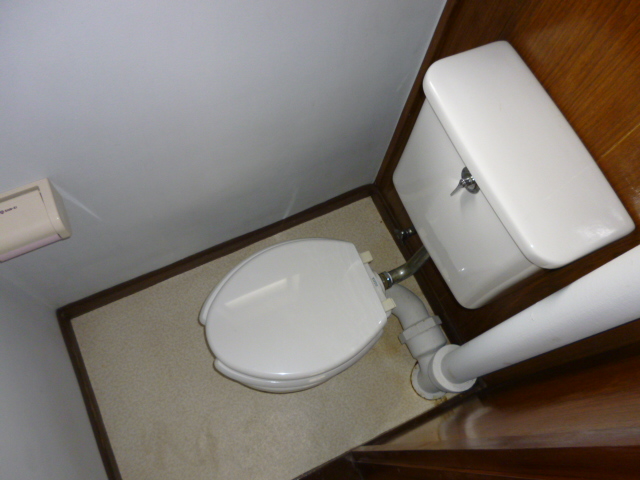 Toilet. Western style Standard type