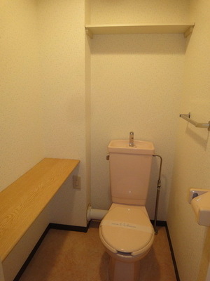 Toilet. Shelved spacious toilet