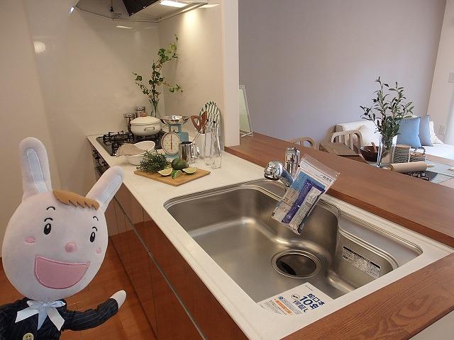 Kitchen. Indoor (24 December 2013) Shooting