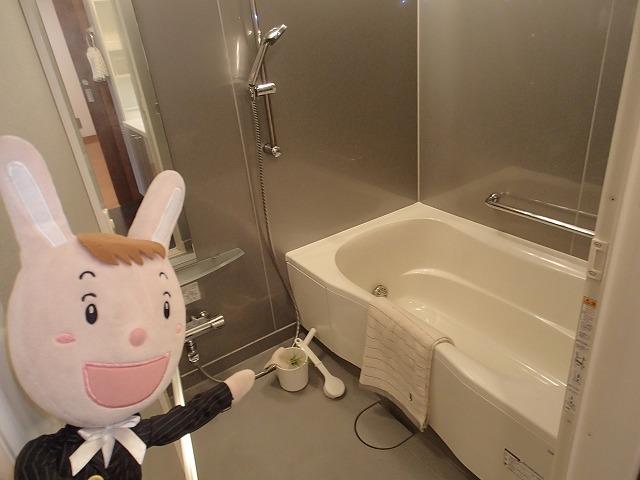 Bathroom. Indoor (24 December 2013) Shooting