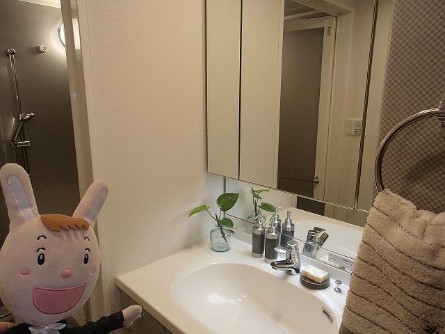 Wash basin, toilet. Indoor (24 December 2013) Shooting