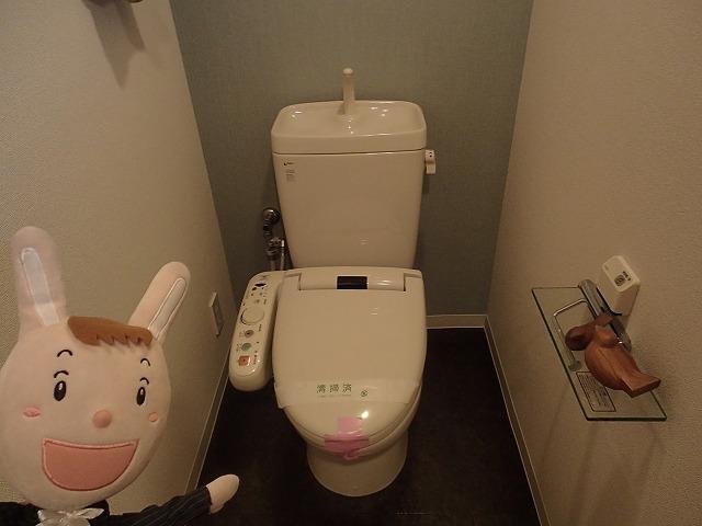 Toilet. Indoor (24 December 2013) Shooting