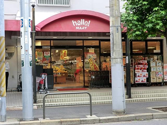 Other. Surrounding facilities: Hello Mart Matsudo shop