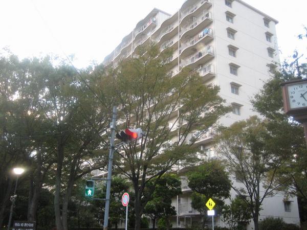 Local appearance photo. Total units 808 units Management system good