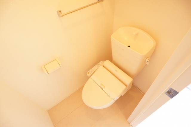 Toilet. Warm water washing heating toilet seat