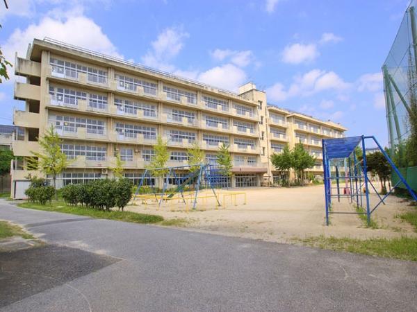 Primary school. Matsudo Municipal Tonohiraga 800m up to elementary school