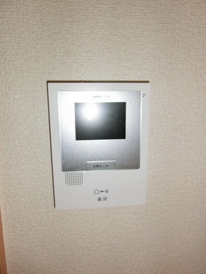 Security. Monitor with intercom