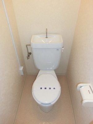 Toilet. Toilet with cleanliness