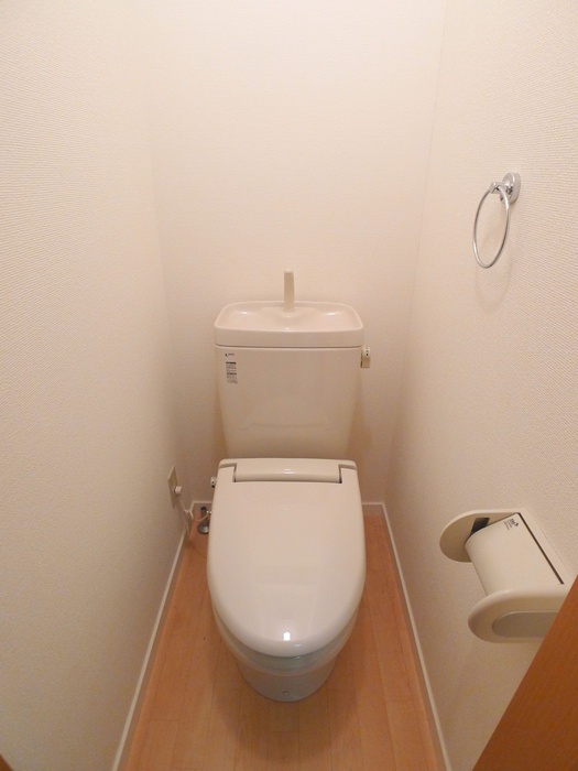 Toilet. Toilet