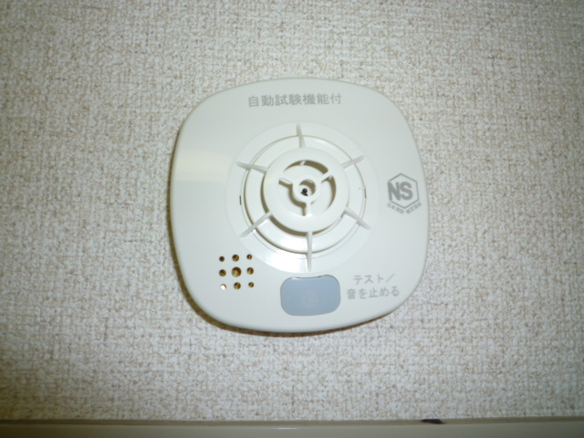 Other. Fire alarm to protect your