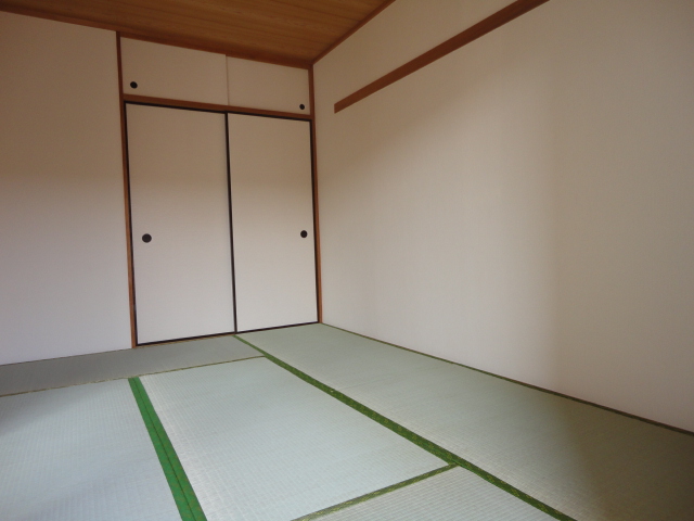 Other room space. Beautiful tatami