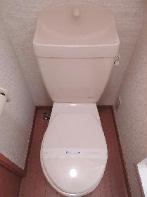 Toilet. Western-style toilet