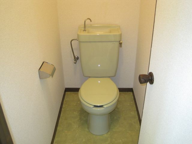 Toilet. Toilet