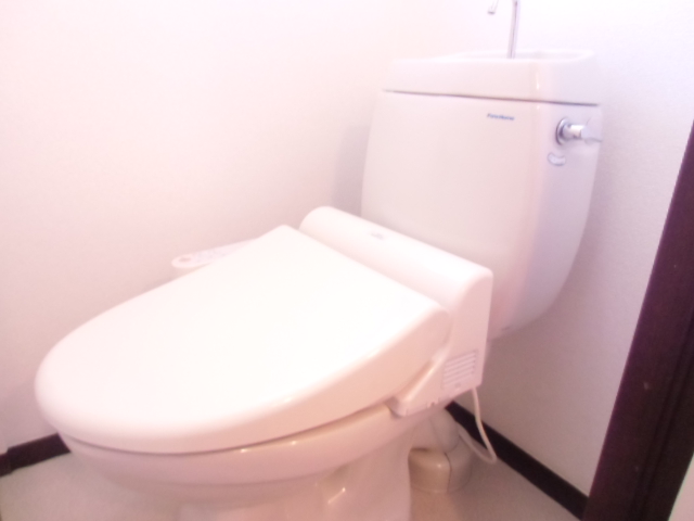 Toilet. With warm water washing toilet seat