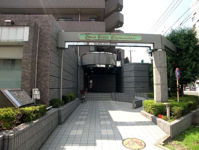 Entrance. Common areas