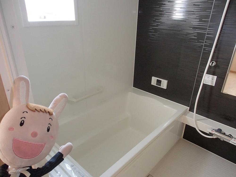 Bathroom. Interior (December 2, 2013) Shooting