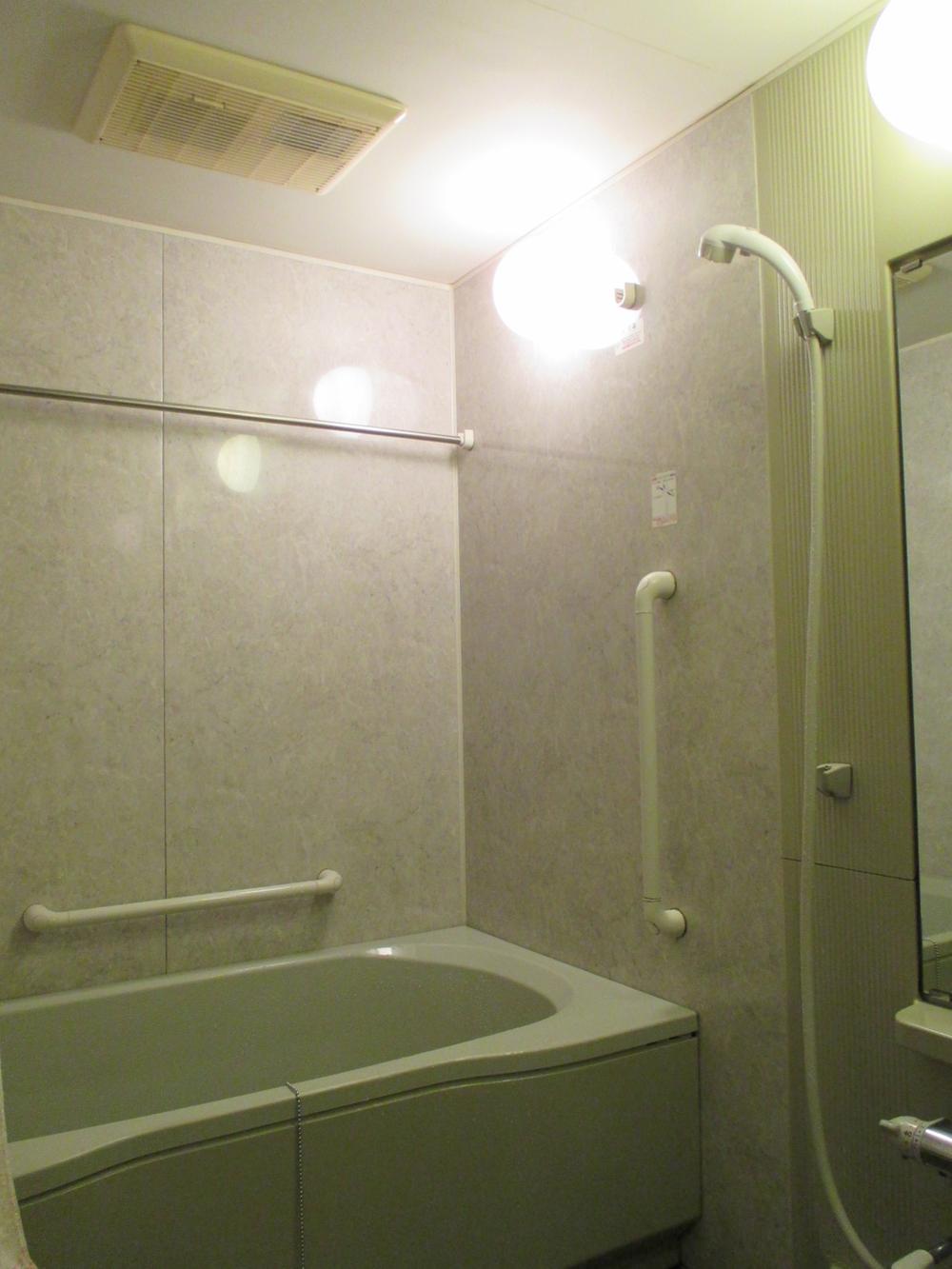 Bathroom. Indoor shooting (September 2013) Shooting