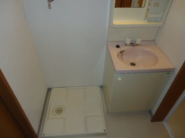 Washroom. It is vanity and washing machine inside the yard