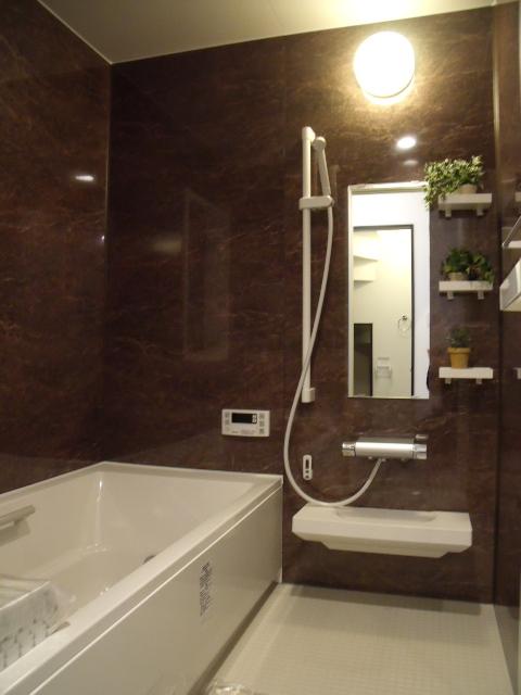 Bathroom. Indoor (12 May 2013) Shooting