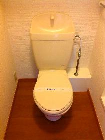 Toilet. Toilet