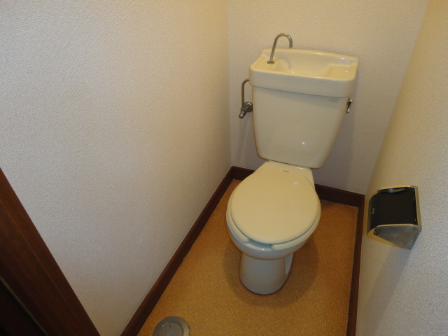 Toilet. There paper holder