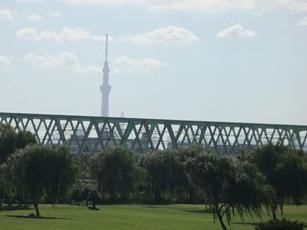 Other Environmental Photo. View from around 40m to the river, along the sidewalk