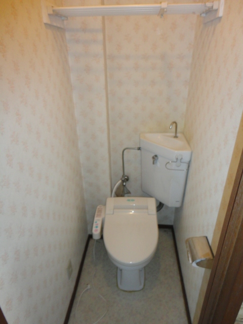 Toilet. Washlet toilet