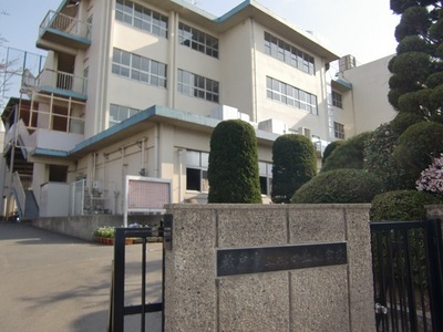 Primary school. 178m to Matsudo Tatematsu Keoka elementary school (elementary school)