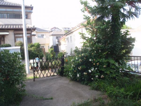 Garden. It is under renovation. Garden is refreshing and uprooting.