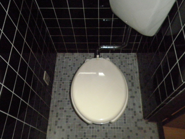 Toilet. Western Standard type WC