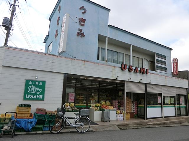 Supermarket. Usami until the store 330m