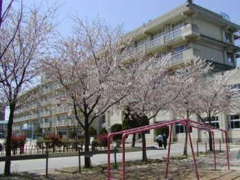 Primary school. 240m to Yokosuka elementary school