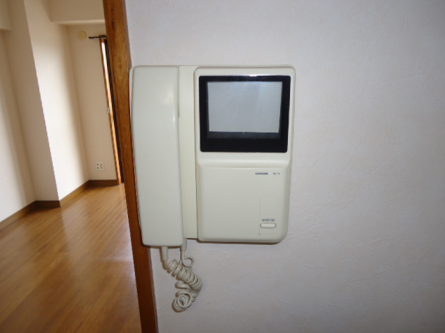 Security. Also equipped with a monitor with intercom