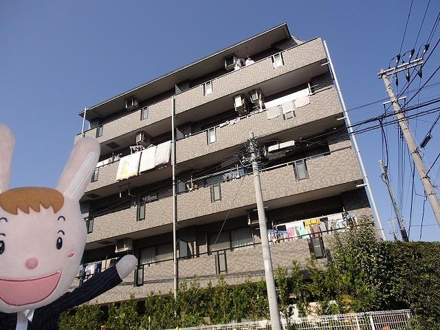 Local appearance photo. Local (October 31, 2013) Shooting