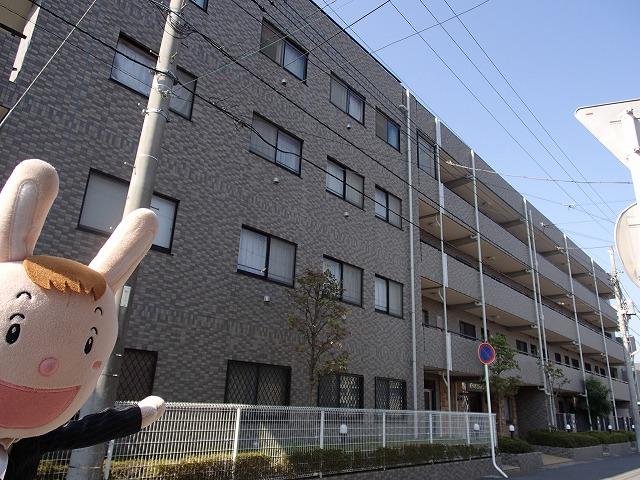 Local appearance photo. Local (October 31, 2013) Shooting