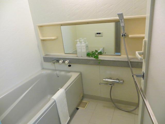 Bathroom. Indoor (11 May 2013) Shooting Clean bathroom