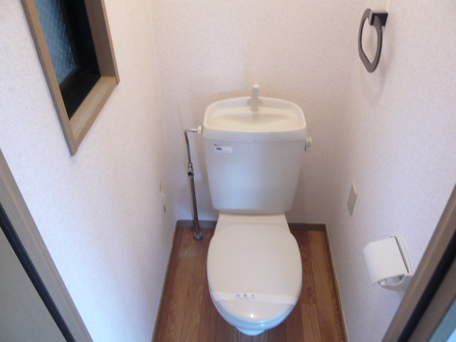 Toilet. Western style Standard type