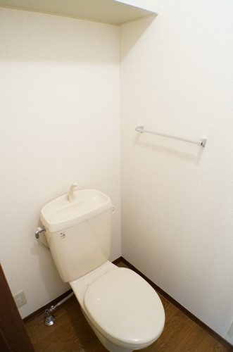 Toilet. Shelf at the top, Happy accessories, such as such as the towel rack is attached