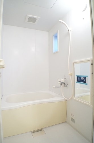 Bath. Bathroom with cabinet with mirror! You can put even small