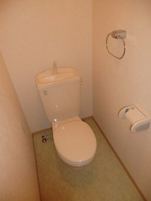 Toilet. Western-style toilet