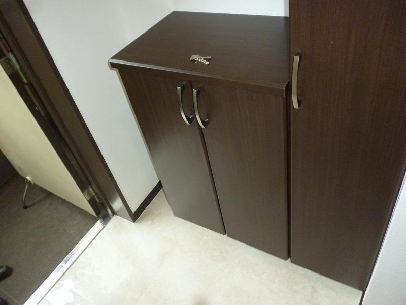 Entrance. Entrance storage. To clutter tend entrance was also tidy clean with plenty of storage capacity space. Umbrella and boots also can be stored.