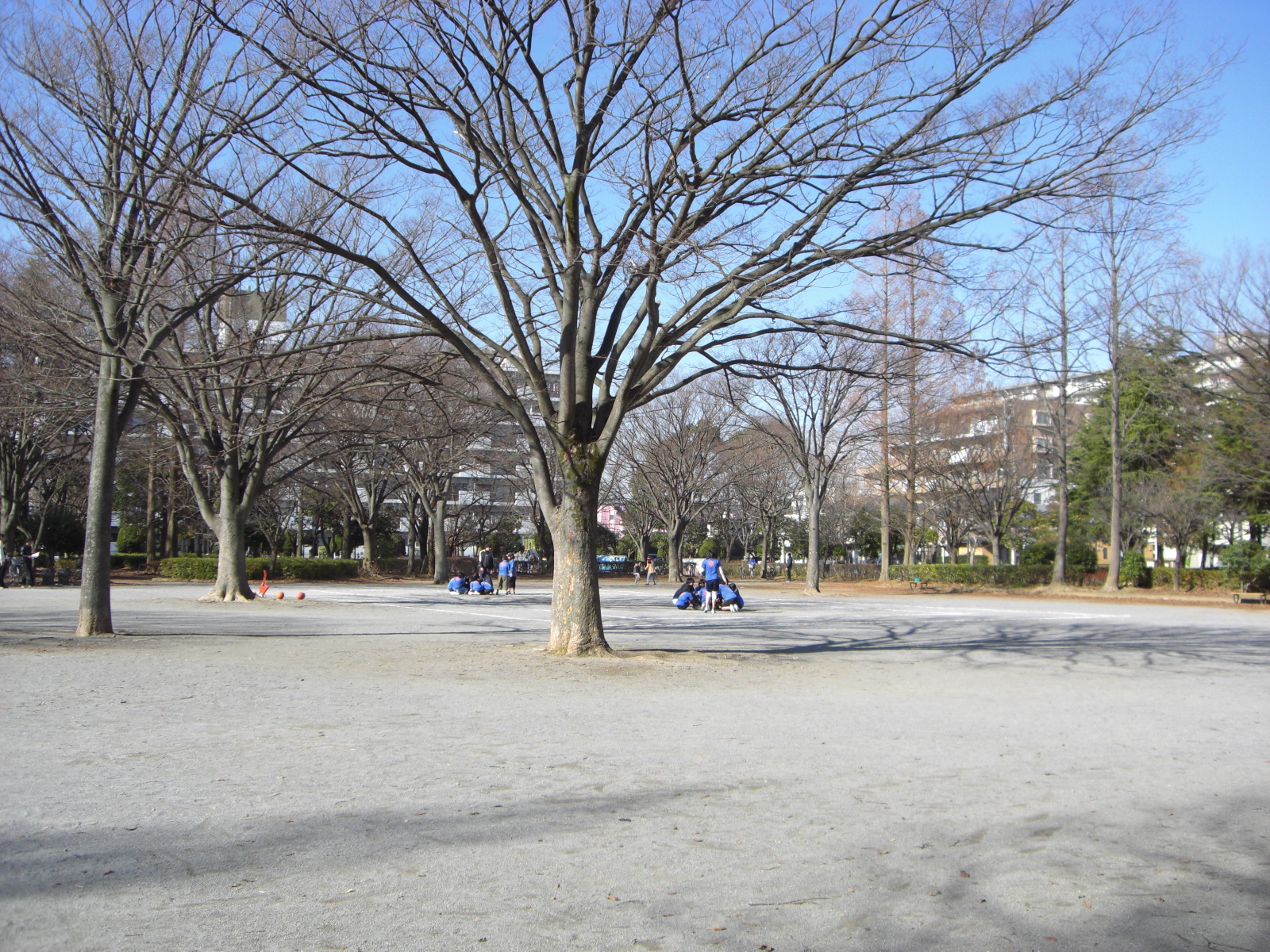 park. Shin-Matsudo 340m to Central Park (park)