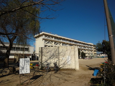 Primary school. Cold wind stand 720m up to elementary school (elementary school)