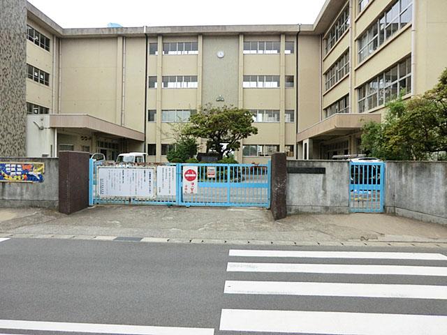 Primary school. Matsudo Municipal Kogasaki 600m up to elementary school