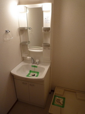 Washroom. Shampoo dresser