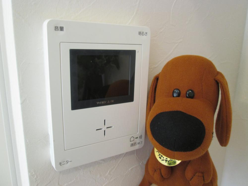 Other. Peace of mind with a TV monitor